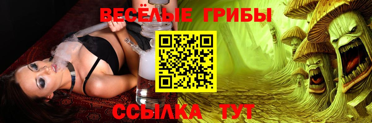магазин продажи наркотиков  Вход с VPN  Сафоново  Псилоцибиновые грибы Cubensis 